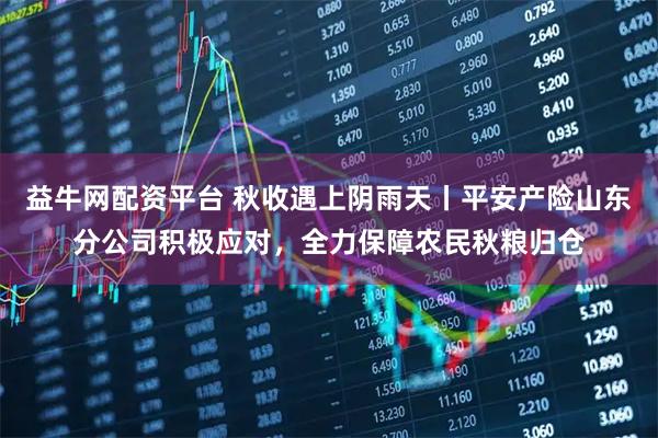 益牛网配资平台 秋收遇上阴雨天丨平安产险山东分公司积极应对，全力保障农民秋粮归仓