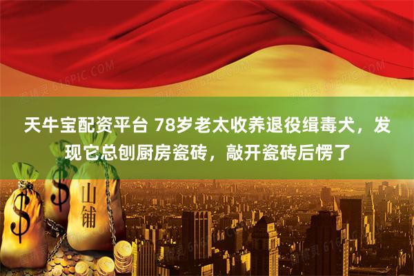 天牛宝配资平台 78岁老太收养退役缉毒犬，发现它总刨厨房瓷砖，敲开瓷砖后愣了