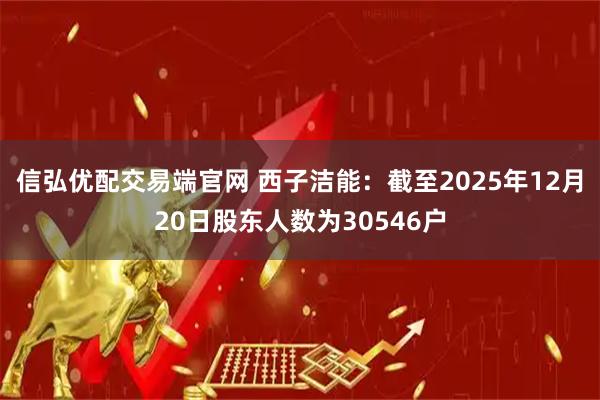 信弘优配交易端官网 西子洁能：截至2025年12月20日股东人数为30546户