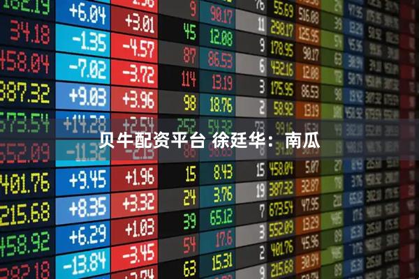 贝牛配资平台 徐廷华：南瓜